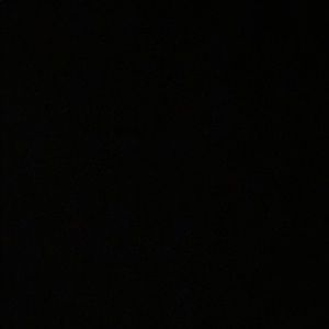 Meet your Posher, Adrianna